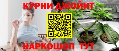 PSILOCYBIN Краснодар
