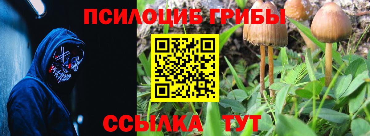 Псилоцибиновые грибы MAGIC MUSHROOMS  Вход с VPN  Галлюциногенные грибы Psilocybe  Конаково 
