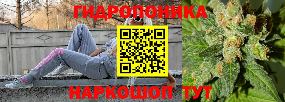 Каннабис план Конаково